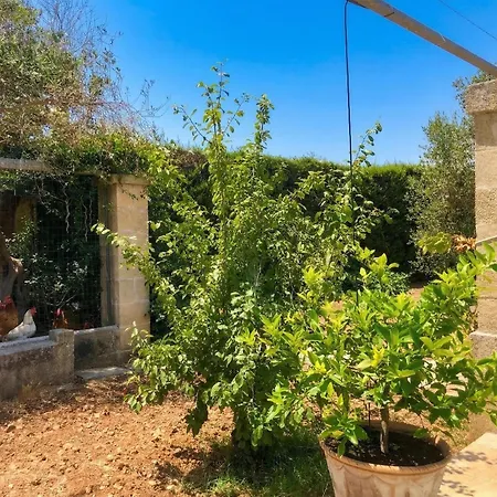 Casale Levante * Cerfignano
